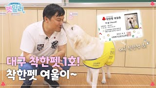 안내견도 기부합니다 🐶 대구 착한펫 1호 여울이! ㅣ슈퍼스타 펫밀리 허경호 선생님&여울이편