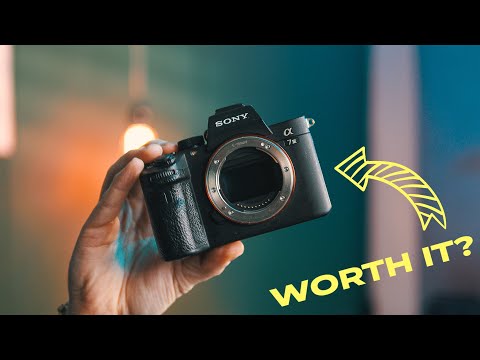 Should You Buy a Sony a7iii in 2024?
