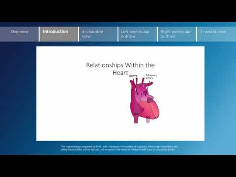 Key screening views of the fetal heart - Part 2 - Introduction