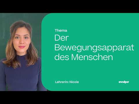 Bewegungsapparat - Knochen, Gelenke, Muskeln