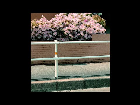 rachel chinouriri - maybe i'm lonely (lyrics)