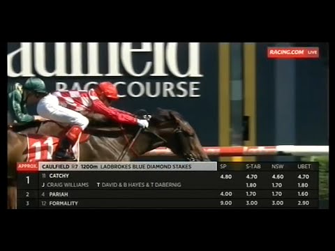 2016/2017 Season (5/8) Magic Millions Day - Blue Diamond Stakes Day