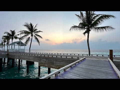Videos del Oaga Art Resort Maldives 5★ en Atolón de Malé Norte, MaldivasVer MásVerPrecios8CerrarConsulta por Whatsapp 🇦🇷BookingTripadvisorExpediaTripSkyscannerKayakHotelesDestinia