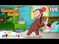 George Goes To School 📚 | Non-stop Curious George! 🐵 | Curious George | Mini Moments