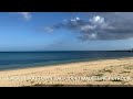 BLACK IN YOUR OWN BACK YARD MADELEINE PEYROUX