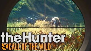 Rare Cinnamon Black Bear Hunting! - TheHunter: Call of the Wild Gameplay