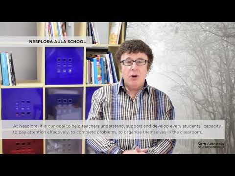 Sam Goldstein and Nesplora Aula School - Nesplora Technology & Behavior