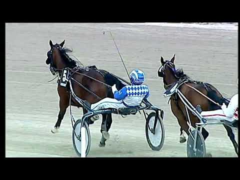 Napoli Trotto 27/02/2022 - 3ª corsa