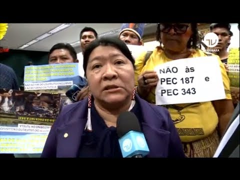 PEC sobre direitos dos índios em debate na CCJ - 21/08/19
