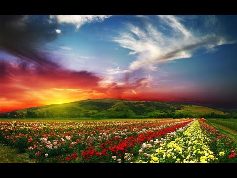 KEE NO 235 Dibata Kap Njagaisa by Mamre Runggun Tigabinanga