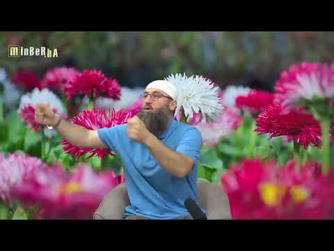 Prijetnje muža razvodom ako žena počne nositi hidžab - Elvedin Pezić