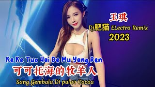 王琪 - 可可托海的牧羊人 - Ke Ke Tuo Hai De Mu Yang Ren - (Dj肥猫 ELectro Remix 2023) #dj抖音版2023