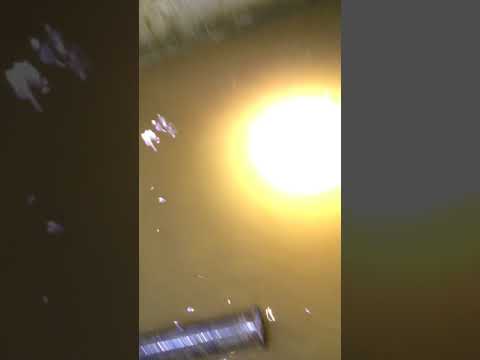 Crew goes Swimming in Crawlspace located in Rainier, OR