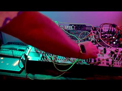 Modular Synth - Deckards Voice / Tyso Daiko / Squid Salmple / Mimeophon