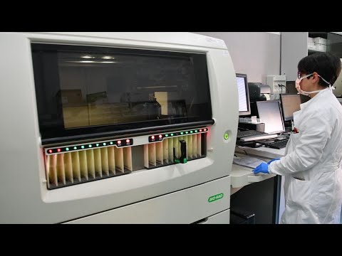 Al San Matteo i primi ex malati Covid donano il sangue per la plasmaterapia