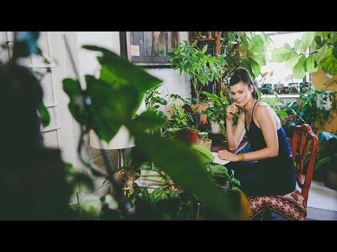 750+ Houseplant Tour (Workroom — Part IV) — Plant One On Me — Ep 093