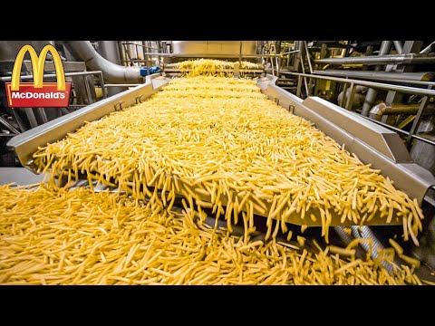 HOW MCDONALD'S FRENCH FRIES ARE MADE. FOOD PRODUCTION