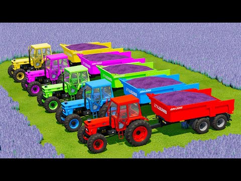 HARVEST, LOAD AND TRANSPORT LAVENDER WITH FIAT TRACTORS - Farming Simulator 22
