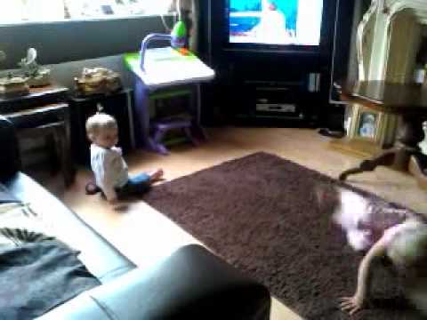 courtney chasin p xx