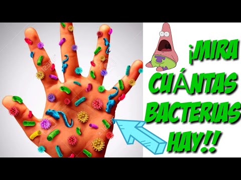 ¿Cuántas bacterias hay en las manos?