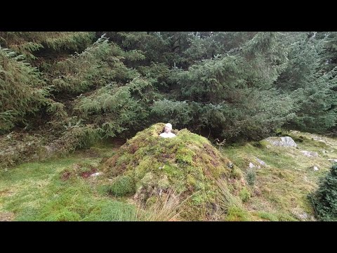stealth shelter ,bushcraft 3 man shelter with fire inside ,hidden shelter