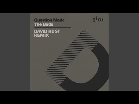 The Birds (David Rust Extended Remix - D1)