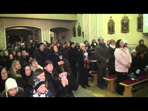 Lurdska Gospa i Stepinčevo u Sopju, 10.2.2015.