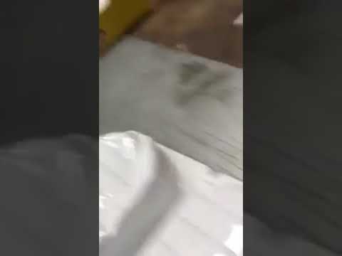 Tatko GmbH Yayla ürünleri