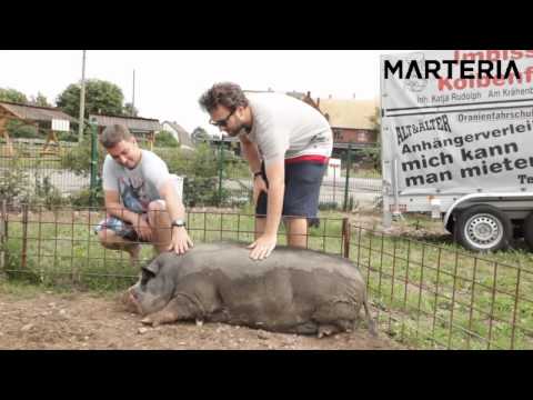 Marteria Splash 2011 Folge #1 / Blog Splash und Frauenfeld