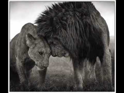 Fast flowz feat. Marcelo - Pruzi maskimum