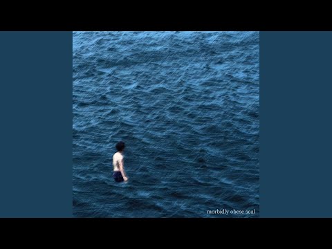 Seal Out Of Water - Morbidly Obese Seal