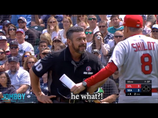 Cardinals manager Mike Shildt gets ejected after his batter isnt granted time, a breakdown