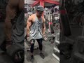 50-50 kg dumbbell shrugs 50 reps