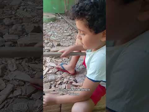 Coisas do nordeste e Goiás