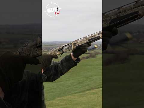 Ergonomics (Look, Feel, Function)