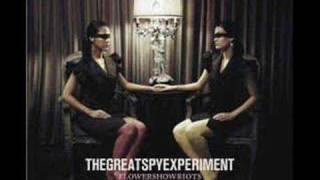 The Great Spy Experiment - 08 - Flow