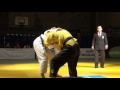Judo BL 2016 UJZ Vs Pinzgau 1Dg Nyman Vs Zilka