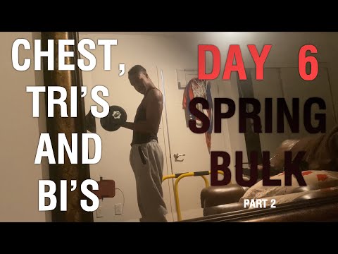 Chest, Tri’s and Bi’s / Spring Bulk Day 6 (Part 2)