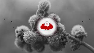 INZO - Young Heart (feat. Lyon Hart)