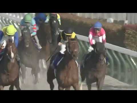 2021.02.21 February Stakes (JPN) - Cafe Pharoah