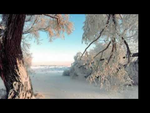 Richard Clayderman - Tema de nadia (instrumentales de oro)