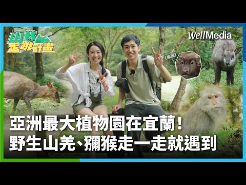 必遊宜蘭景點！亞洲最大植物園在這，野生山羌、獼猴大本營！超美生態森林園區 #福山植物園【山林走跳計畫】EP2