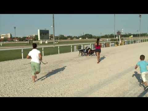 2019.08.11. agár futam