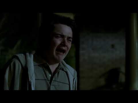 Medve az udvarban 1.rész