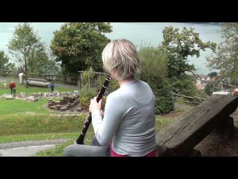 go4clarinet - Musikgesellschaft Walchwil - Werbefilm