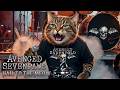 Avenged Sevenpaws Hail To The Meow Live At Meowtal Mayhem Festival