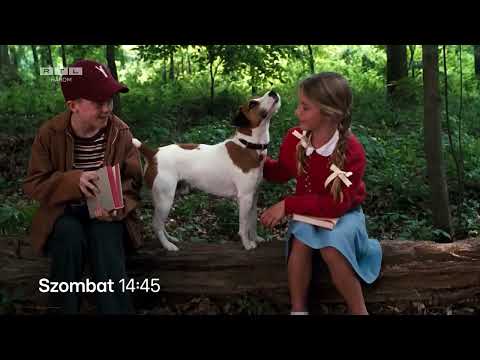 Kutyám, ship! - Ajánló RTL Három