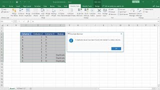 How to identify duplicate rows in an Excel sheet