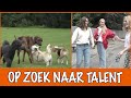Britt op zoek naar talenten | DierenpraatTV