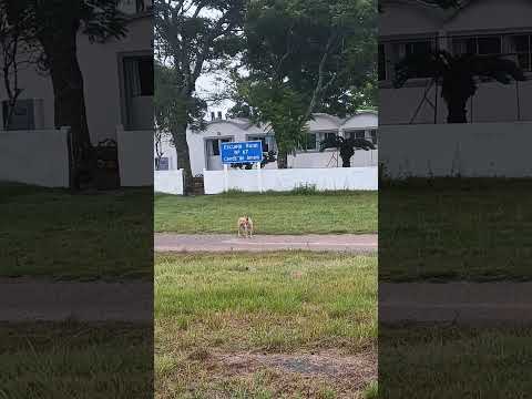 Cerros de Amaro #CerrosDeAmaro , ruta 8 , departamento de Treinta y Tres , Uruguay 🇺🇾